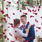 Kit Com 4 Pacotes De Pétalas De Rosa Artificiais – Decore Mes