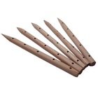 Kit Com 5 Estacas Tutor De Madeira 25cm