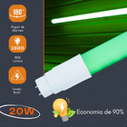 Kit com 5 Lâmpadas Tubulares LED T8 10W 60cm – Cor Verde