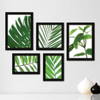 Kit Com 5 Quadros Decorativos - Folhagem Folhas - 009kq01p