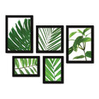 Kit Com 5 Quadros Decorativos - Folhagem Folhas - 009kq01p