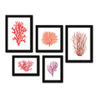 Kit Com 5 Quadros Decorativos - Mar Oceano Coral - 020kq01p