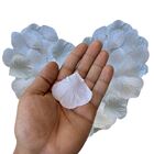 Kit Com 6 Pacotes De Pétalas Artificiais – Perfeitas Para Eve