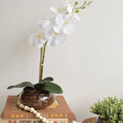 Kit Com Dois Arranjos De Eucalipto E Orquídea Artificial No V