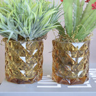 Kit Com Dois Arranjos Folhagem E Suculenta No Vaso De Vidro Â