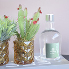 Kit Com Dois Arranjos Folhagem E Suculenta No Vaso De Vidro Â