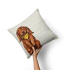 Kit Combo Páscoa Easter Day Capas De Almofadas + Tapete Entra