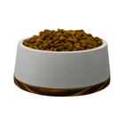 Kit Comedouro Bebedouro Pet Para Cães, Gatos Concreto Polido