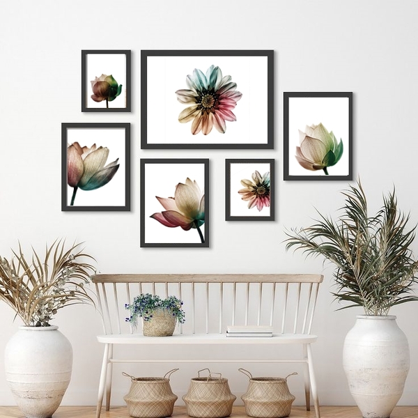 Kit Composição 6 Quadros Florais Minimalistas Brancos Moldura