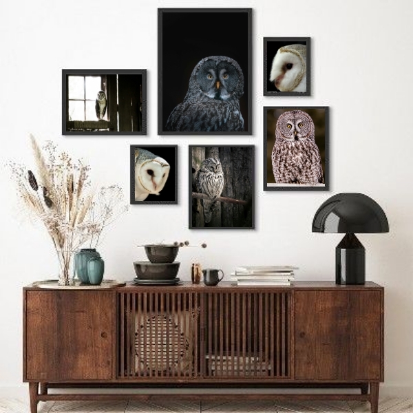 Kit Composição 6 Quadros Fotografias Corujas Moldura:madeira