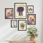 Kit Composição 6 Quadros Lavanda E Pássaros Moldura:madeira B