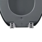 Kit Conjunto Fixação Para Assento Sanitário Almofadado Cinza