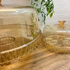 Kit Cozinha Boleira E Queijeira Ambar 2pçs Glamour Plasútil