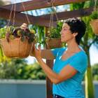 Kit Cuia Nutricoco Gigante (cuia+suporte+corrente) Nutriplan