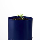 Kit Cultivo Autoirrigável Alumínio Azul  Salsa