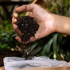 Kit Cultivo Autoirrigável Alumínio Azul  Salsa