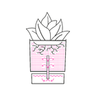 Kit Cultivo Autoirrigável Alumínio Rosa  Couve