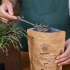 Kit Cultivo Autoirrigável Alumínio Rosa  Couve