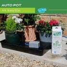 Kit Cultivo Autoirrigável Easy2go Autopot + Bandeja Garland | Leroy Merlin