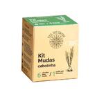 Kit Cultivo Cebolinha  Smartpot Azul