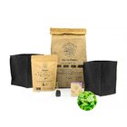 Kit Cultivo Coentro  Smartpot Preto