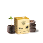Kit Cultivo Girassol  Smartpot Verde