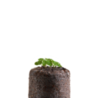 Kit Cultivo Melissa  Smartpot Marrom