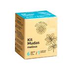 Kit Cultivo Melissa  Smartpot Marrom