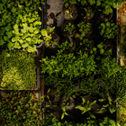 Kit Cultivo Rúcula  Smartpot Verde