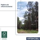 Kit De 2 Cadeiras De Jantar Club Em Madeira Maciça Amêndoa