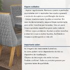 Kit De 2 Cadeiras Para Sala De Jantar Luna Cinamomo/cinza