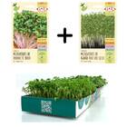 Kit De Cultivo Microverdes Rabanete E Agrião Isla