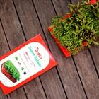 Kit De Cultivo Super Salada (40x Mais Nutrição) Brota