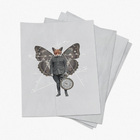 Kit De Lambe Lambe Minimal