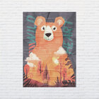 Kit De Lambe Lambe Safari