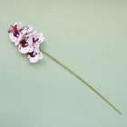 Kit De Orquideas Artificiais - Doze Hastes De Orquídea Tigre