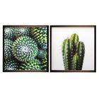 Kit de Quadros Cactus Verde Inspire