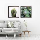 Kit de Quadros Cactus Verde Inspire