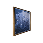 Kit de Quadros Coral Sea Life Azul