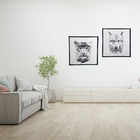 Kit de Quadros Decorativos Leopardo e Lobo Preto e Branco