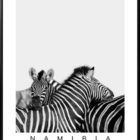 Kit De Quadros Leão E Zebra Tanzania E Namibia Preto E Branco