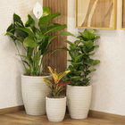 Kit 2 Vasos de Plástico Marrom com Prato Relevo Vasart