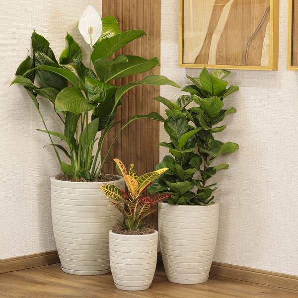 Kit 2 Vasos de Plástico Marrom com Prato Relevo Vasart