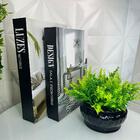 Kit Decoração 2 Livros De Papelão + Vaso Preto Moderno