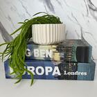 Kit Decoração 2 Livros Na Cor Azul + Vaso Branco Trabalhado