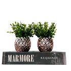 Kit Decoração 3 Peças Livro Porta Objetos E Dupla Vaso Rosê