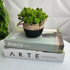 Kit Decoração Dois Livros + Vaso De Cimento Artesanal