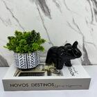 Kit Decoração Livro + Vaso Branco Artesanal + Elefante Preto