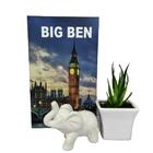 Kit Decoração Livro + Vaso Branco Cerâmico + Elefante Branco