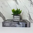 Kit Decoração Livro Casa + Vaso De Cimento Artesanal